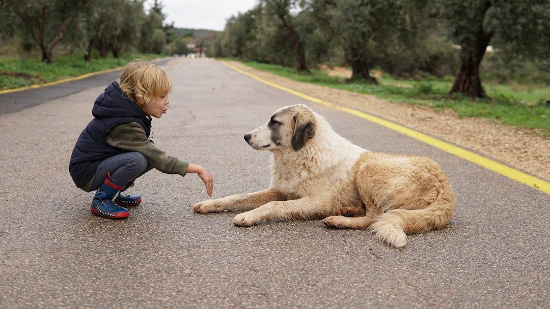 10 Large Dog Breeds That Make Loving Companions for Senior Singles