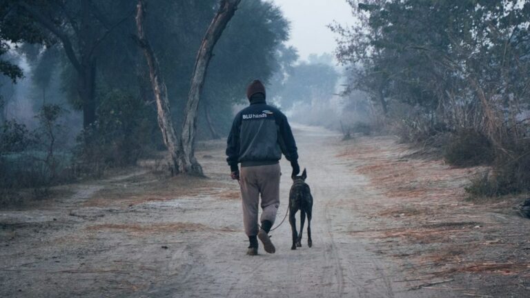 Can A Dog Help You While You're Grieving?