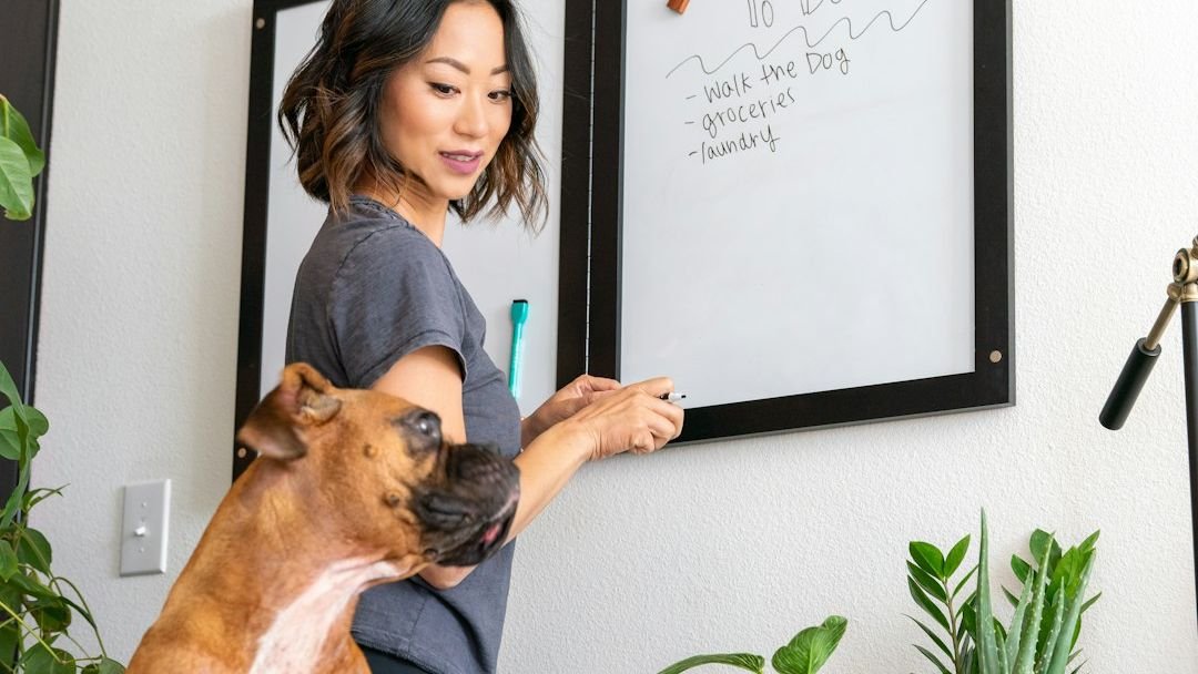 Why Dogs Are Obsessed With Routine