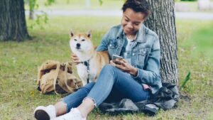 Why Does My Dog 'Talk' to Me So Much? (And What Are They Trying to Say?)