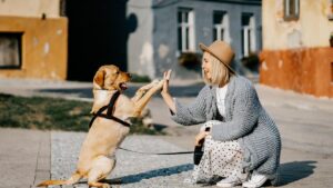 5 Common Habits That Are Accidentally Confusing Your Dog