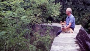 7 Ways Your Dog Shows They Love Their Senior Human Best