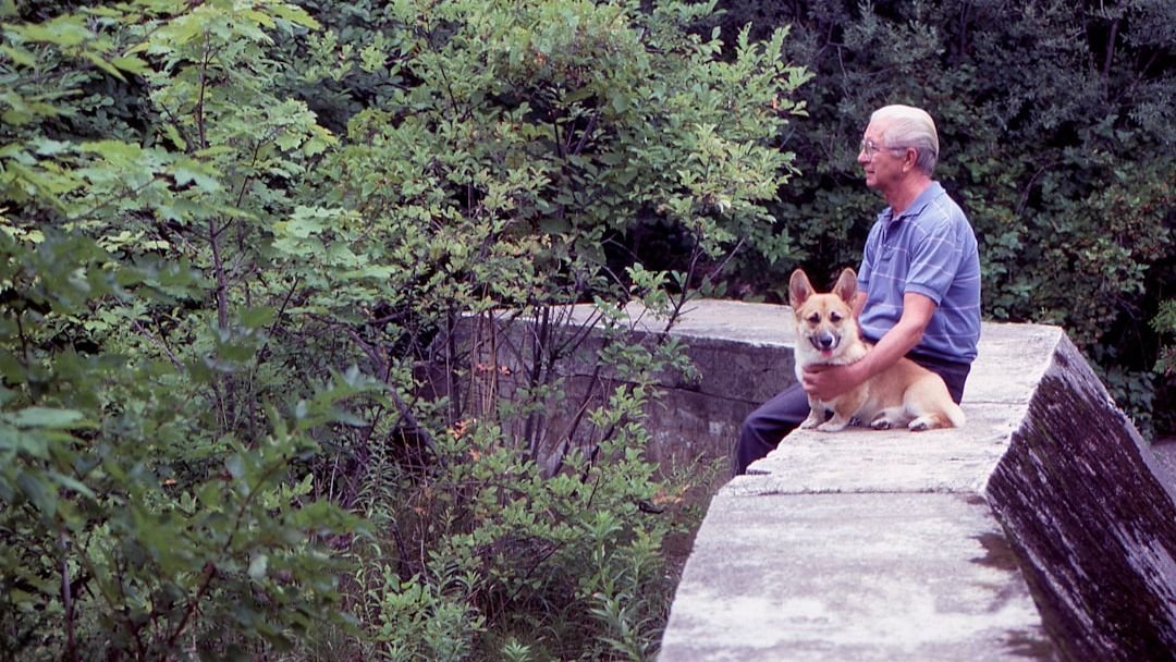 7 Ways Your Dog Shows They Love Their Senior Human Best