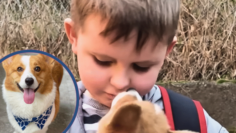 “Please, Dad?” Boy’s Sweetest Letter to Dad Asking for a Corgi is Melting Hearts