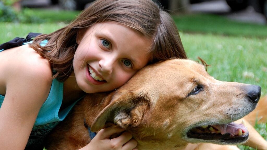 8 Things Your Dog Does When They Trust You (and 8 Ways to Build That Trust)