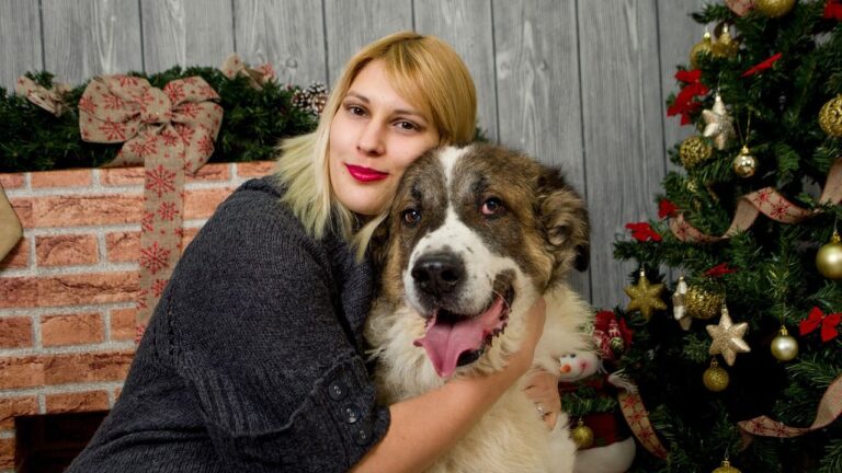 9 Ways to Include Your Dog in Christmas Celebrations Without Stressing Them Out