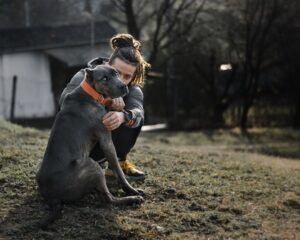 10 Dog Breeds With Killer Looks But Are Softies At Heart