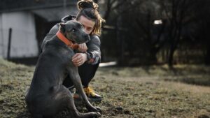 10 Dog Breeds With Killer Looks But Are Softies At Heart