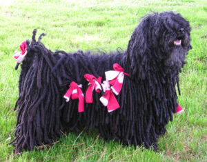 10 Dog Breeds That Are Easy to Groom (and 10 That Need a Professional Groomer)