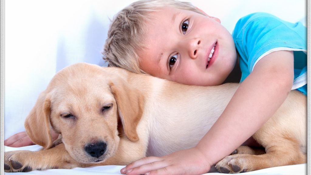 Why The Labrador is The Perfect Dog For Kids