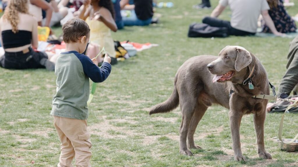 8 Habits That Damage a Dog's Emotional Stability