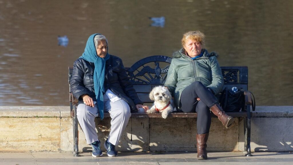 7 Surprising Benefits of Adopting a Senior Dog (and 7 Things to Know Before You Do)