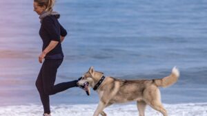 10 Mistakes People Make When Choosing a Dog
