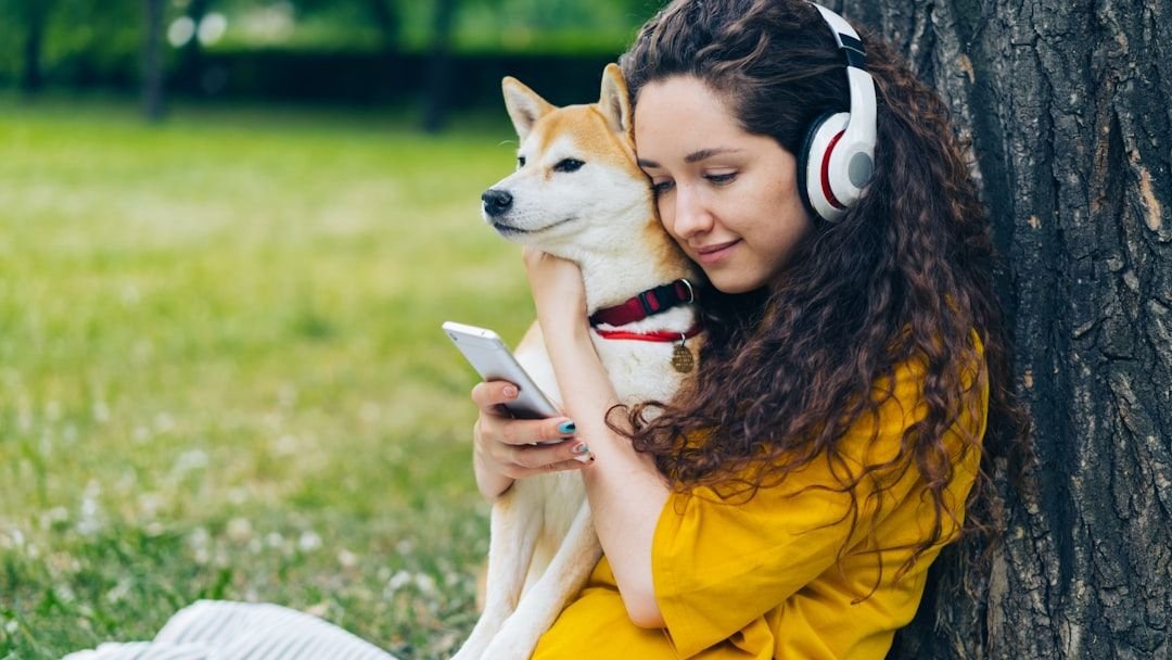 8 Ways to Help Your Anxious Dog Feel Safe and Loved at Home