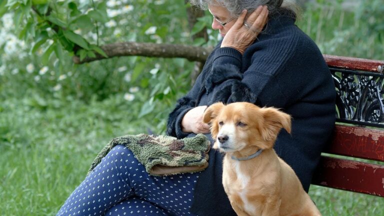 Why Florida's Retirees Are Choosing Smaller, Calmer Breeds