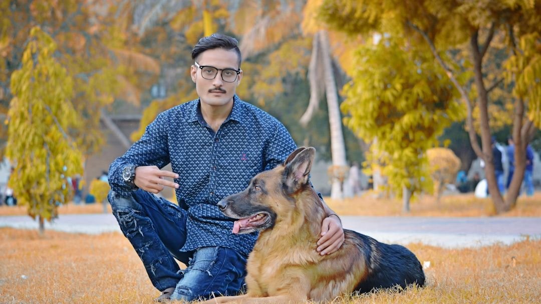 7 Dog Breeds That Make Perfect Companions for Seniors Experiencing Loneliness