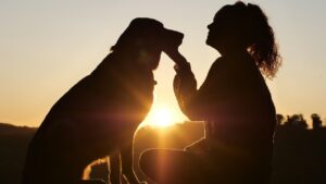 8 Dog Breeds That Are Touch Me Nots (& 5 That Love Constant Cuddles)