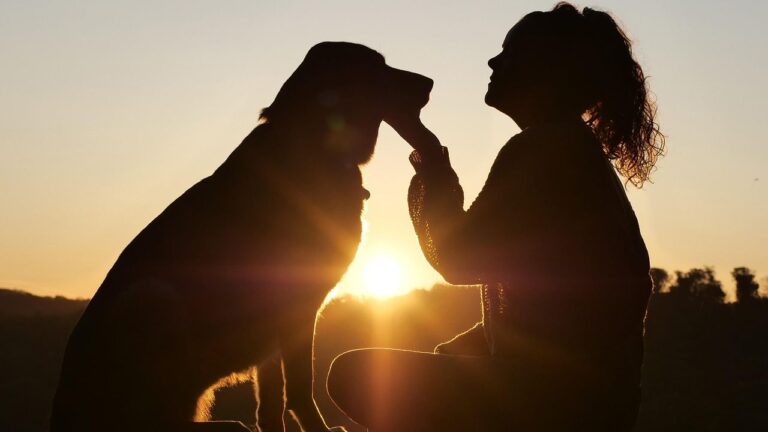 8 Dog Breeds That Are Touch Me Nots (& 5 That Love Constant Cuddles)