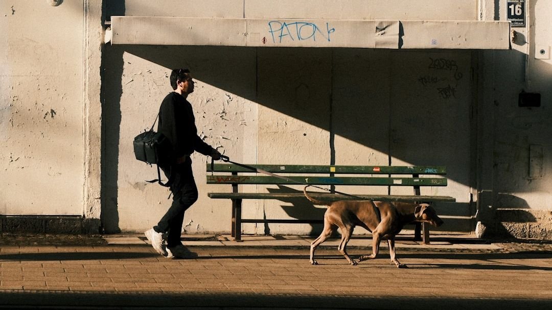 7 Amazing Ways Dogs Help Us Live Longer, Happier Lives