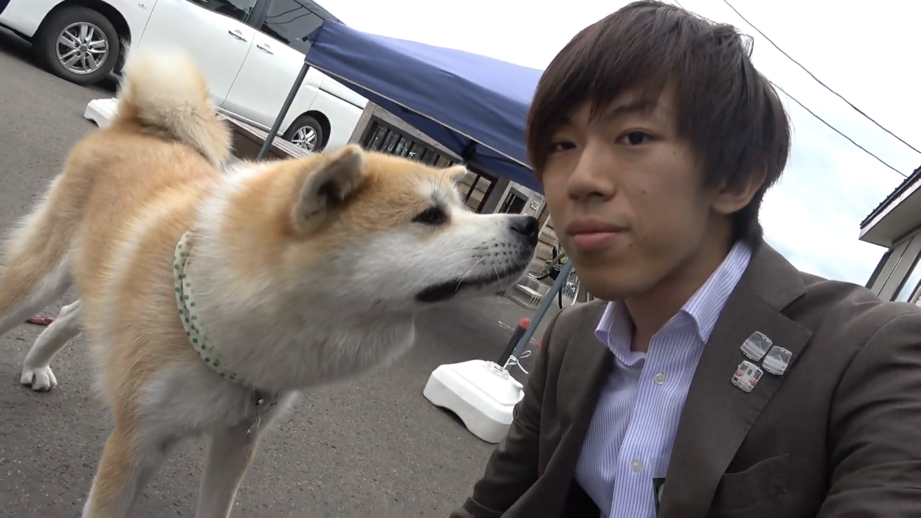 10 Dog Breeds That Are Shockingly High-Maintenance and Emotionally Difficult