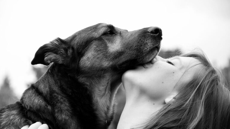 10 Things Dogs Do Only for the Humans They Love Most
