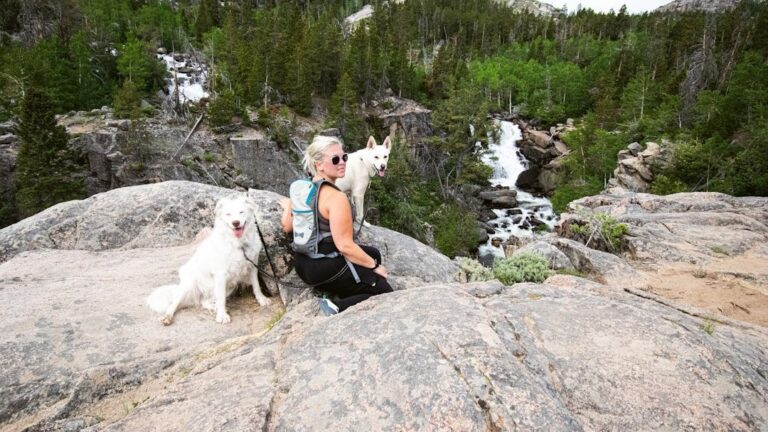 Are You Accidentally Shortening Your Dog's Lifespan? Simple Habits to Start Today