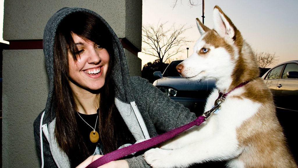 Why Impulsive Aries Owners Often Choose Dog Breeds They Can’t Control