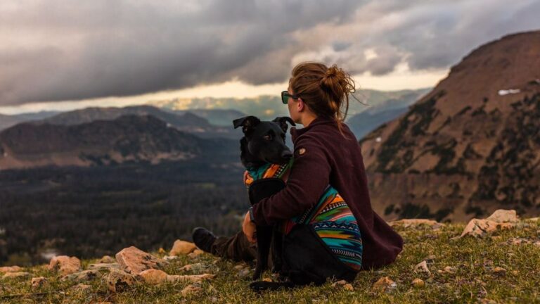 Why Fire Signs Bond Best With High-Energy Dog Breeds