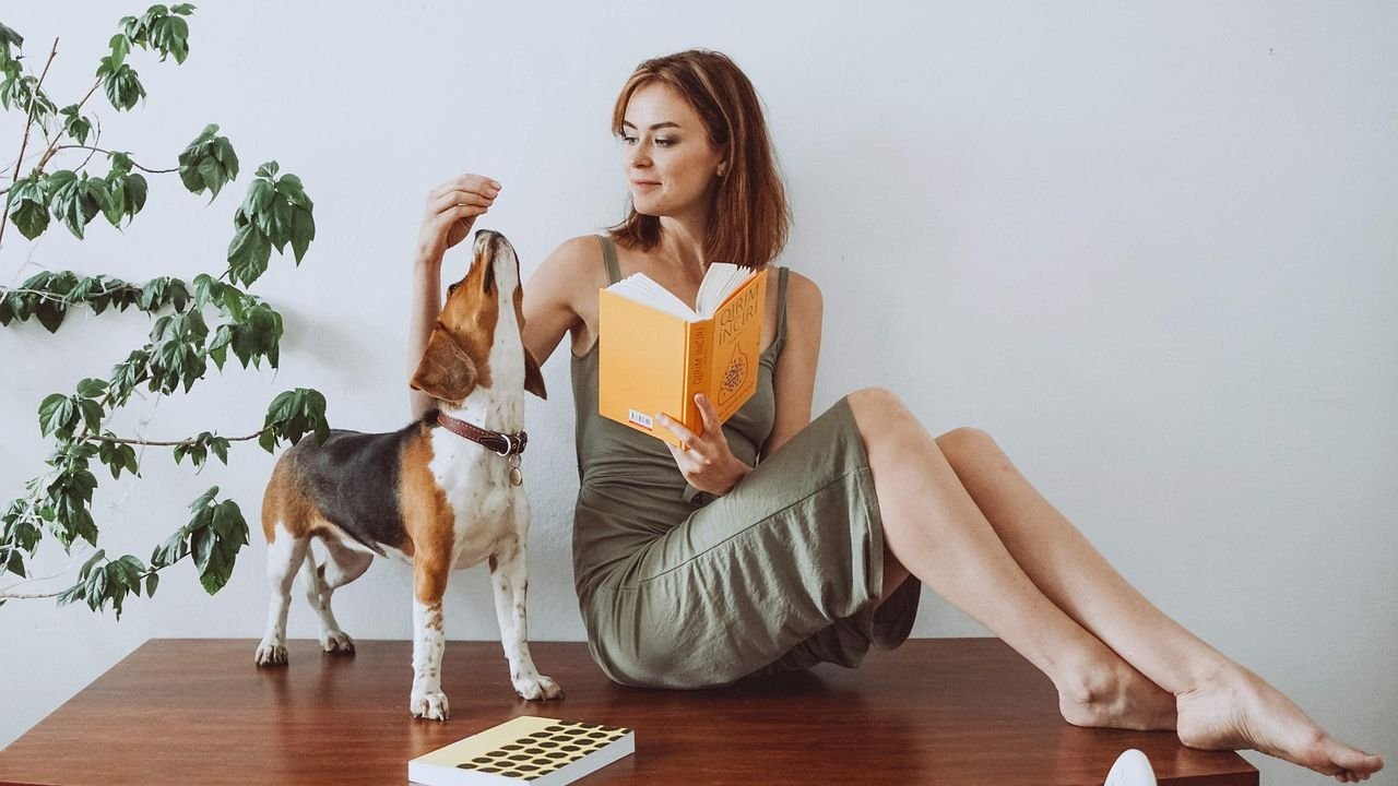 7 Creative Ways to Exercise Your Dog Indoors on Rainy Days