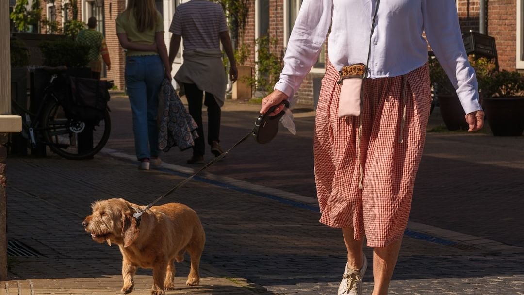 9 Essential Commands Beyond ‘Sit’ and ‘Stay’ Every Dog Needs to Know