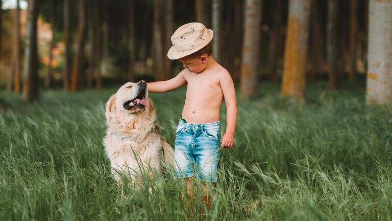 Are You Accidentally Reinforcing Your Dog's Fear of Strangers?
