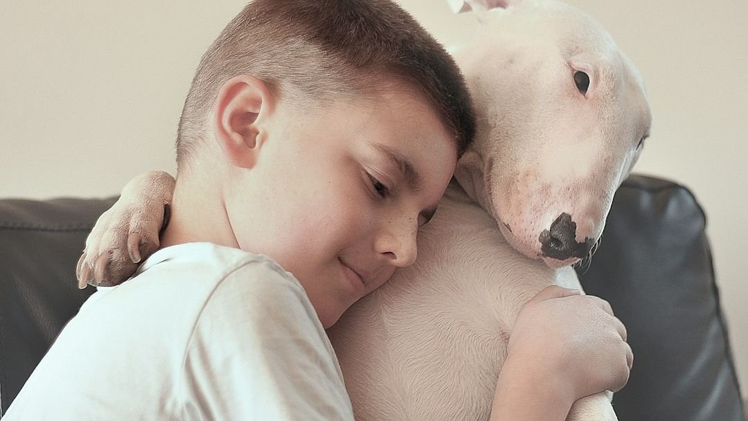 How Do Dogs Show Empathy Towards Their Human Companions?