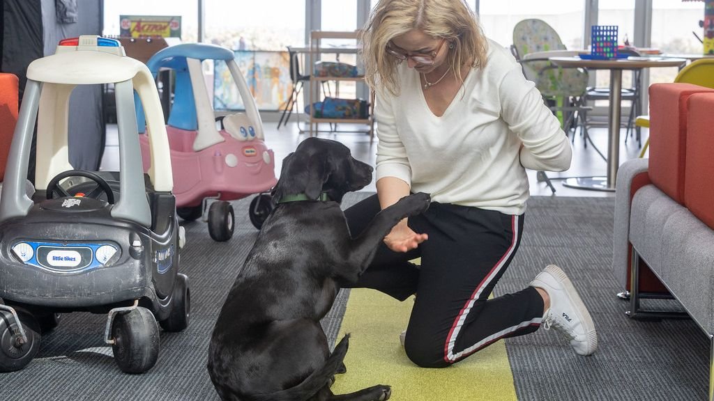 The Truth About ‘Bad’ Dogs: Every Dog Deserves a Second Chance at Happiness