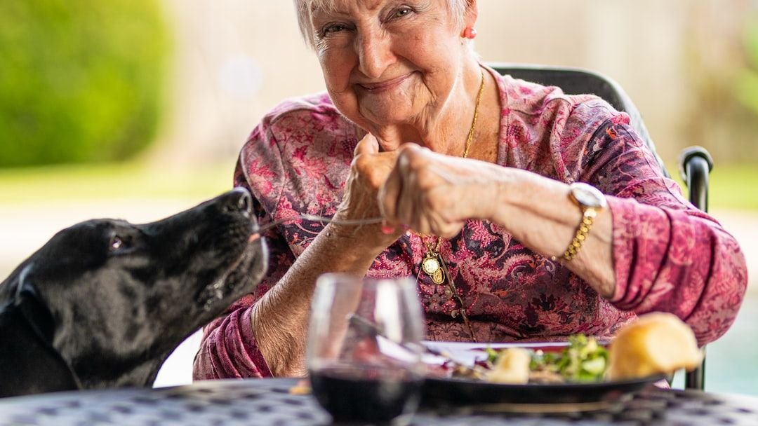 What's the Secret to a Long and Happy Life for Your Senior Dog?