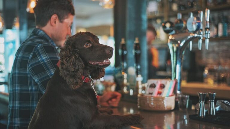 How the Pacific Northwest Became America's Dog Paradise