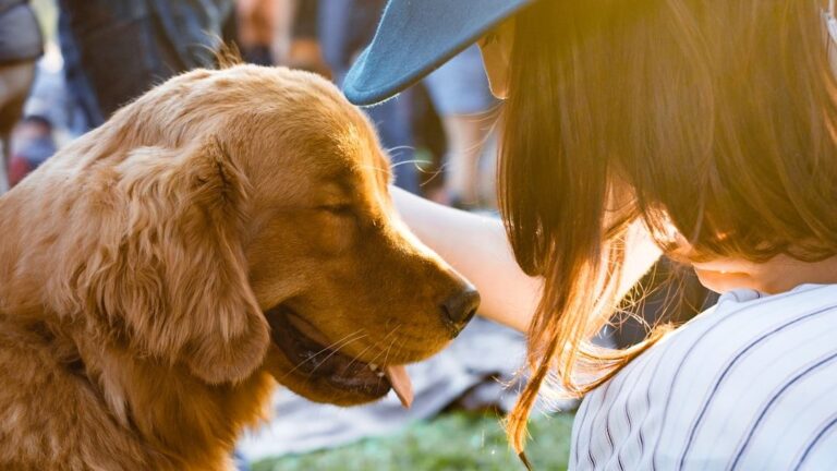 8 Dogs That Clash With Sensitive People [And 4 Emotionally Gentle Breeds]