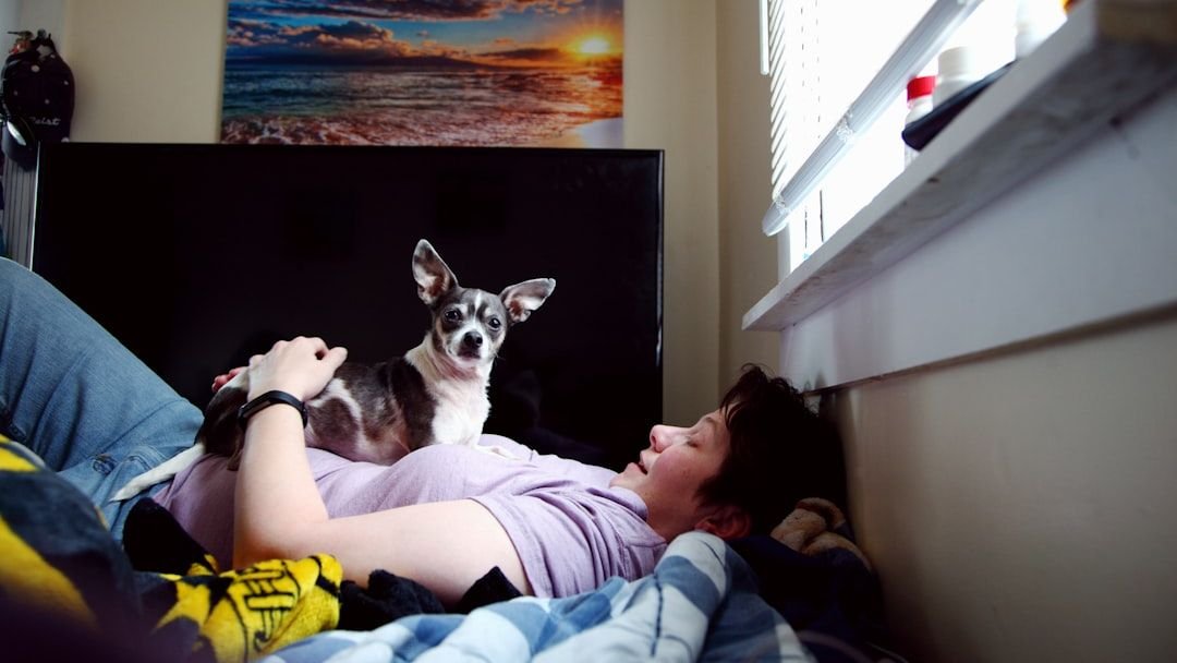 How to Get an Adopted Dog to Become a Cuddlebug