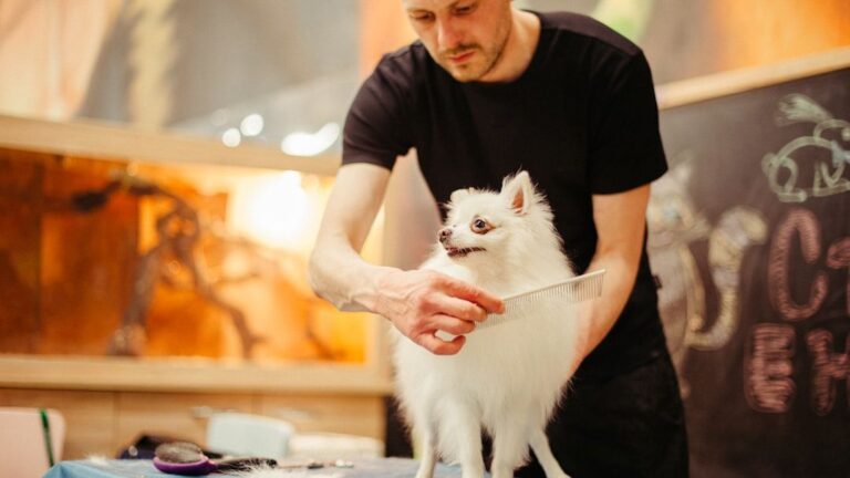 10 Unexpected Ways Your Dog Communicates Their Trust and Affection