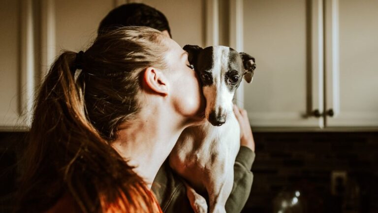 How Human Stress Can Directly Impact Your Dog's Well-being