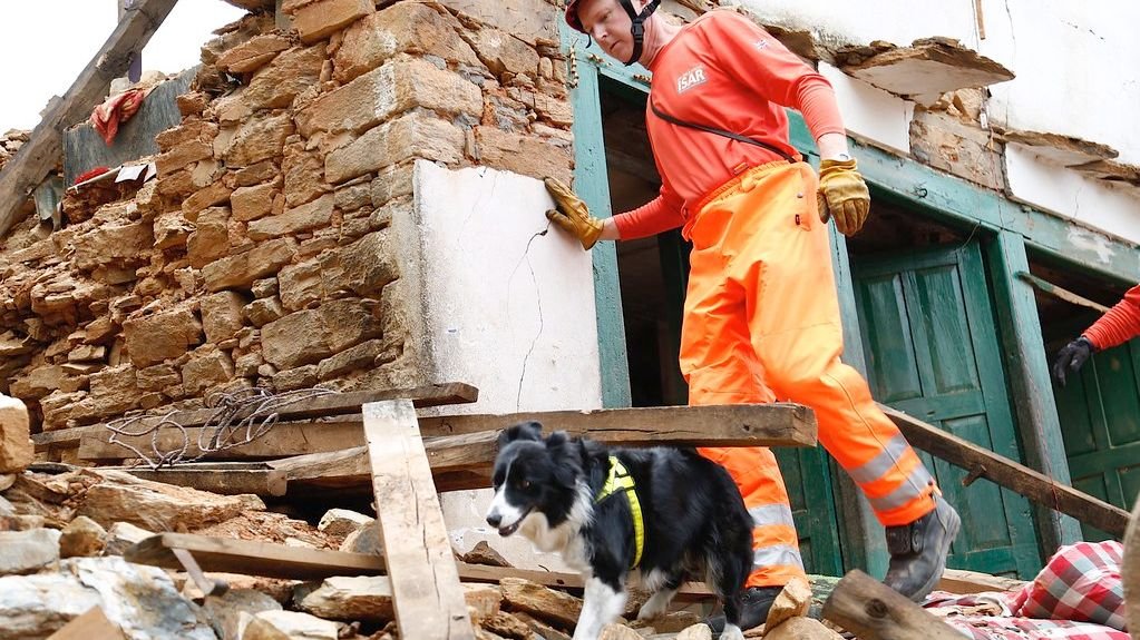 Rescuing a ‘Problem’ Dog: The Profound Rewards of Second Chances