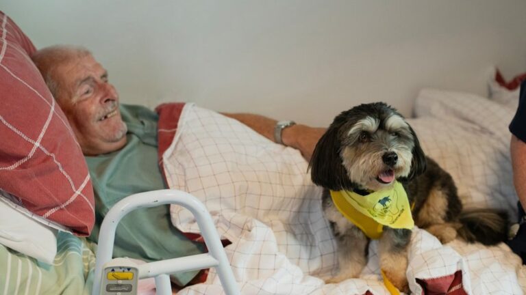 Your Dog's Affection Is a Gift Beyond Measure