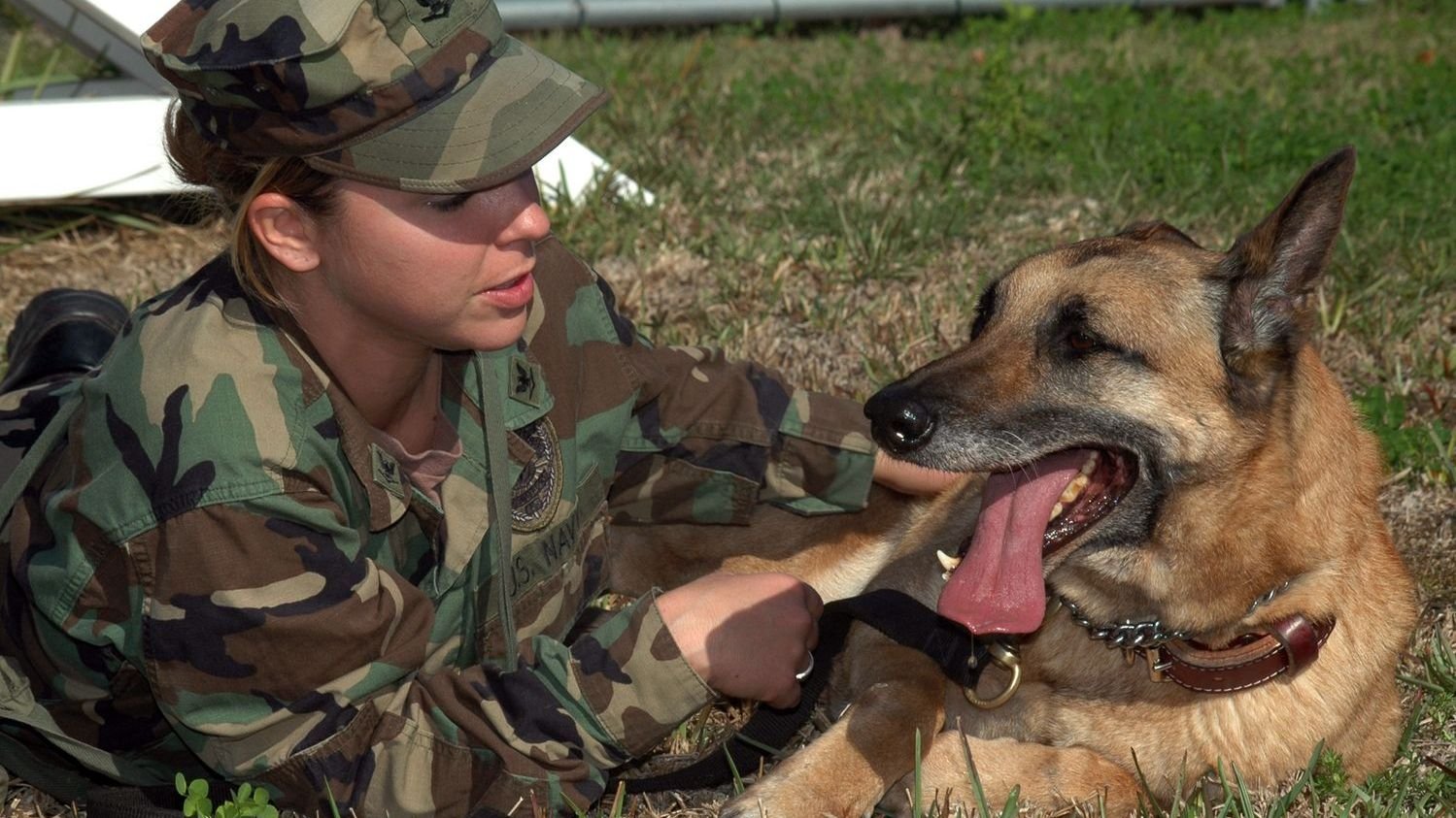 The ‘Difficult’ Dog Often Just Needs a Different Approach