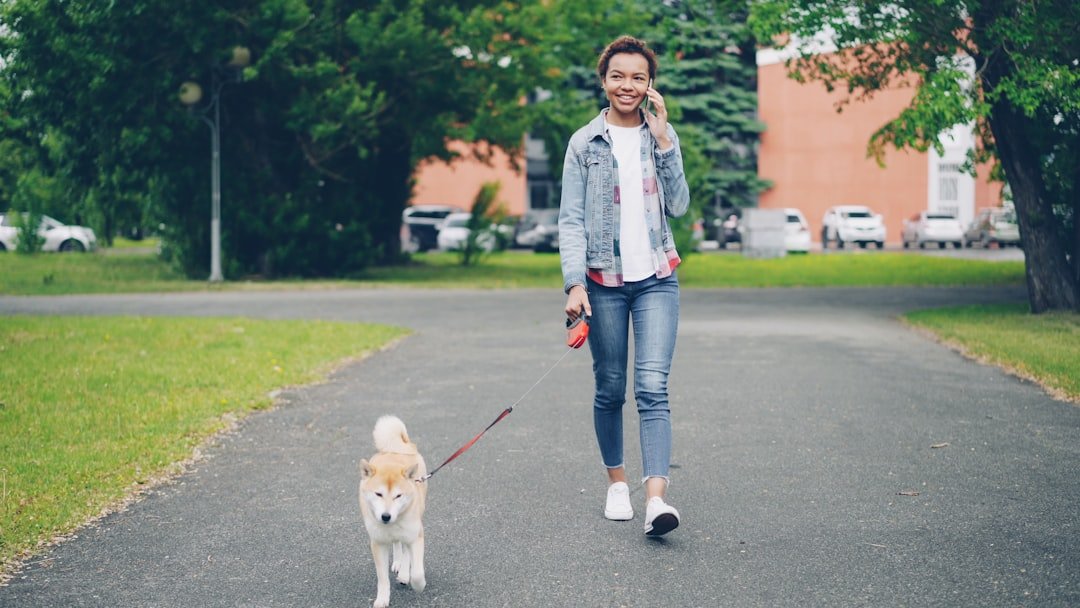 10 Common Mistakes That People Make When Walking Dogs