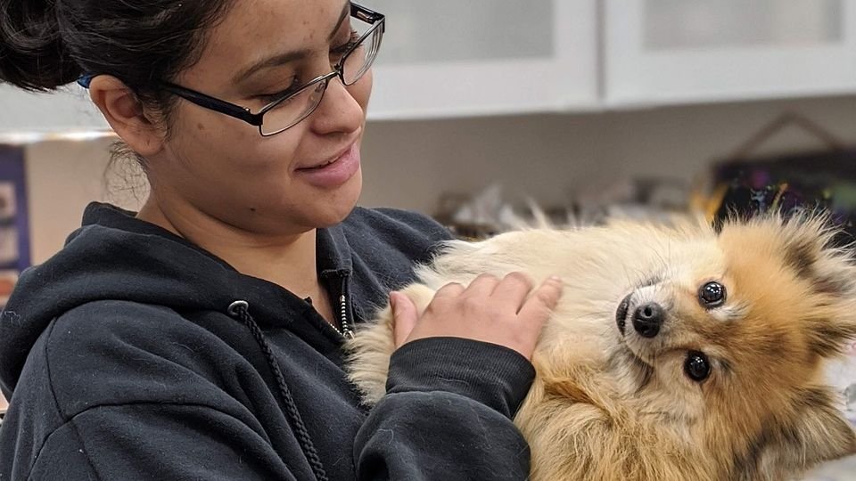 7 Simple Hacks to Make Vet Visits Less Stressful for Your Dog