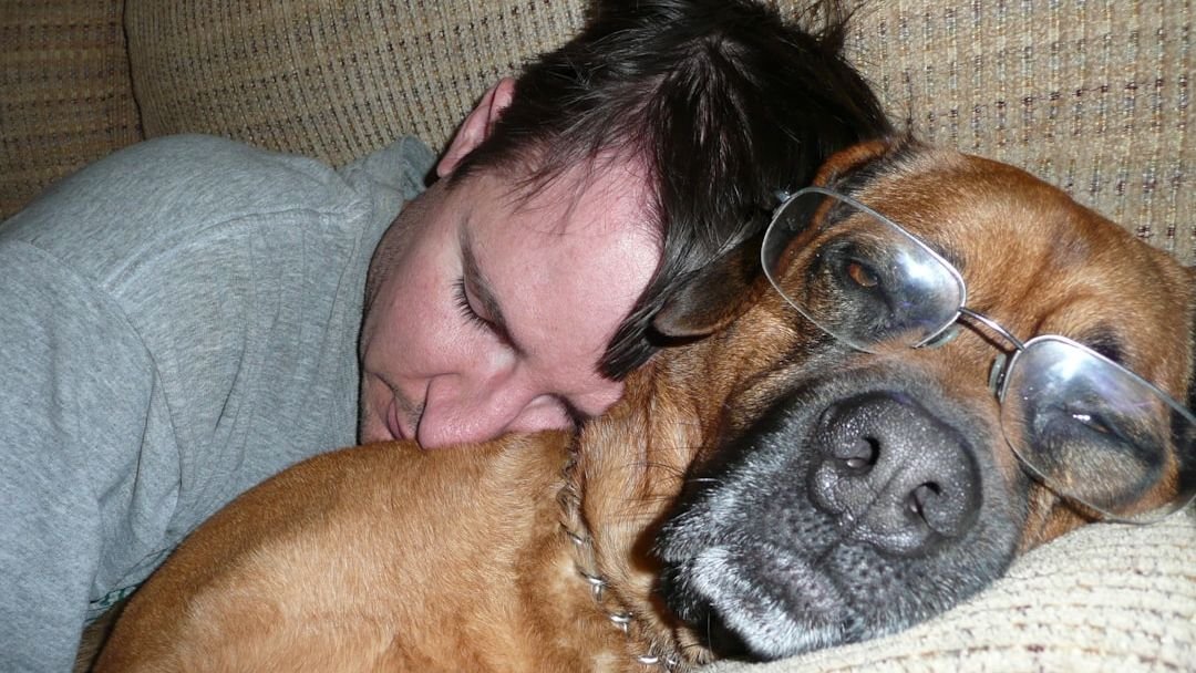 5 Signs Your Dog Might Be Feeling Under the Weather