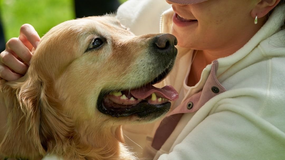 8 Dog Breeds That Are Surprisingly Good with Grandchildren (And 5 You Should Reconsider)