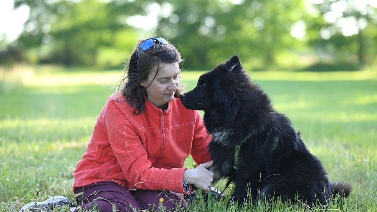 7 Simple Steps to a Happier, Healthier Canine Companion