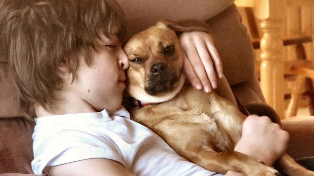 How Affection Shapes Your Dog’s Personality