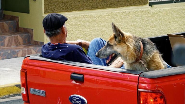 The Dog Breeds That Clash With Your Zodiac Sign's Personality