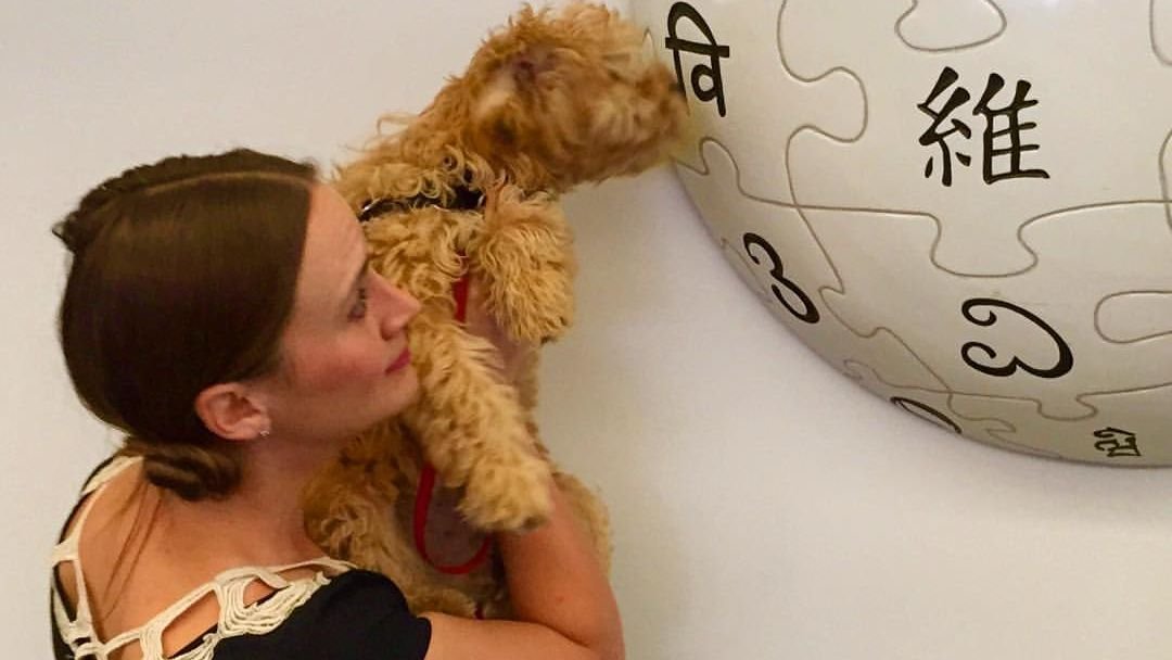 10 Clever Hacks to Make Your Senior Dog Feel Like a Puppy Again